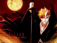 BLEACH NOVA TEMPORADA